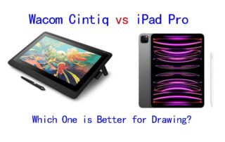 Wacom Cintiq vs iPad Pro for drawing